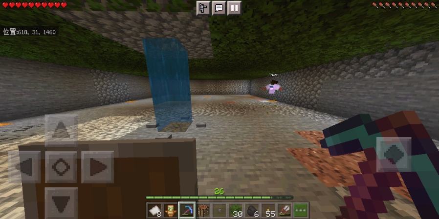 Minecraft Bug 截图-01