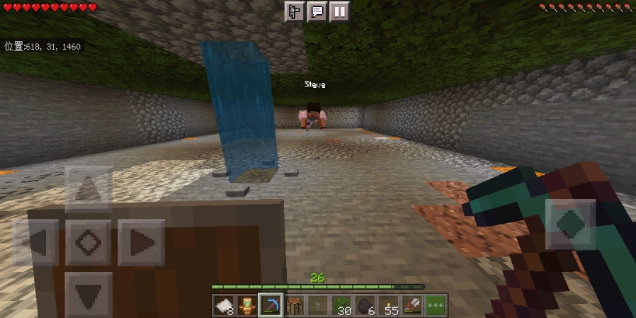 Minecraft Bug 截图-02