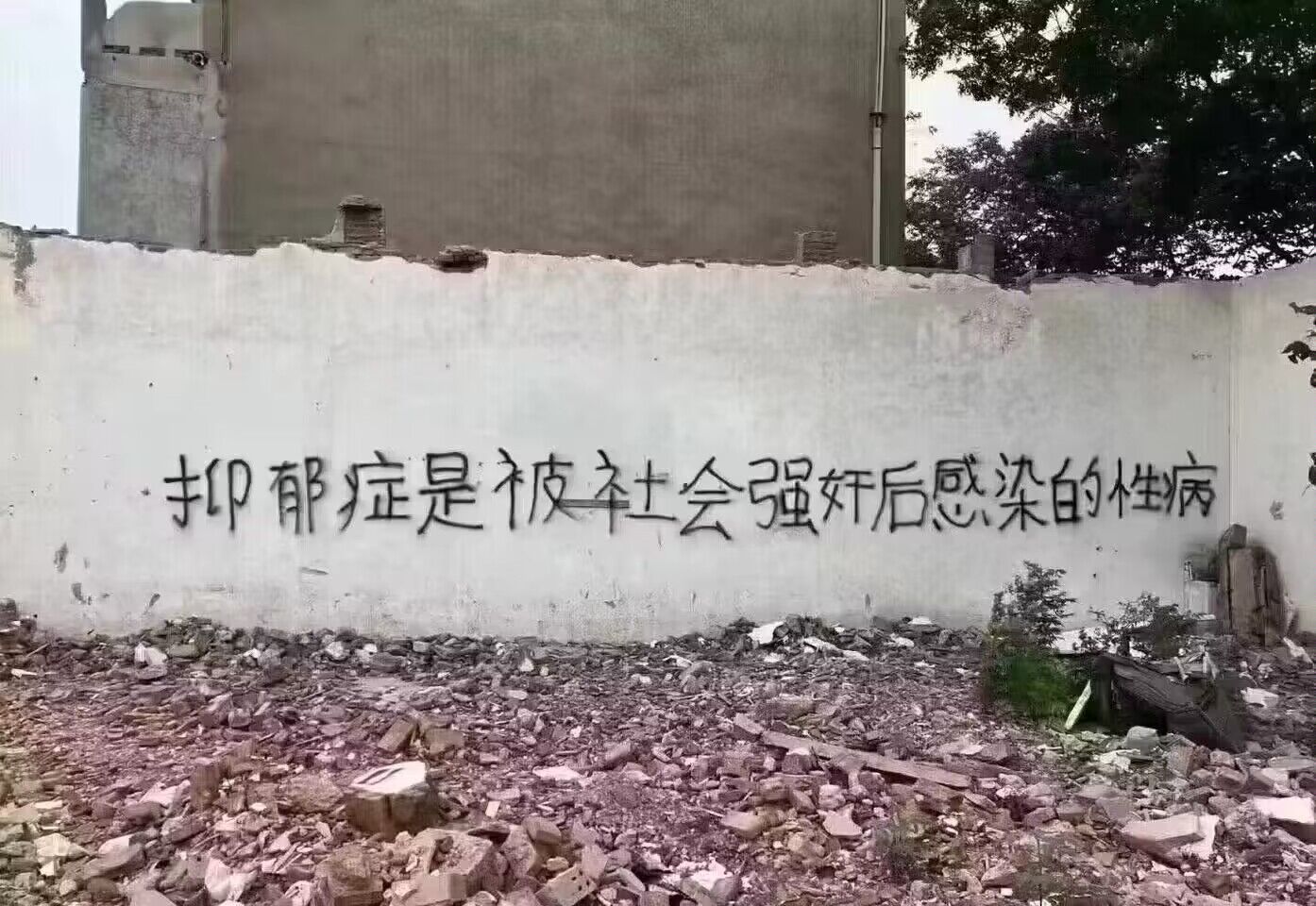 “抑郁症是被社会强奸后感染的性病”
